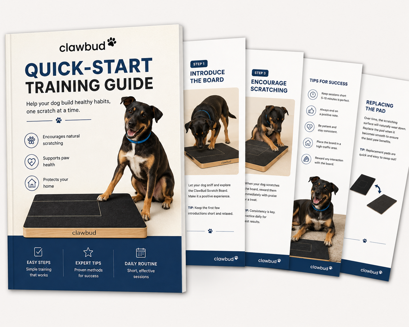 Training Guide