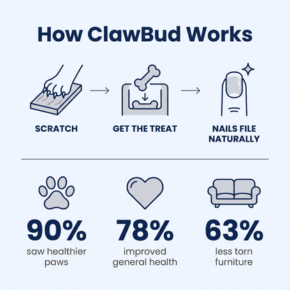 ClawBud™ Scratch Board