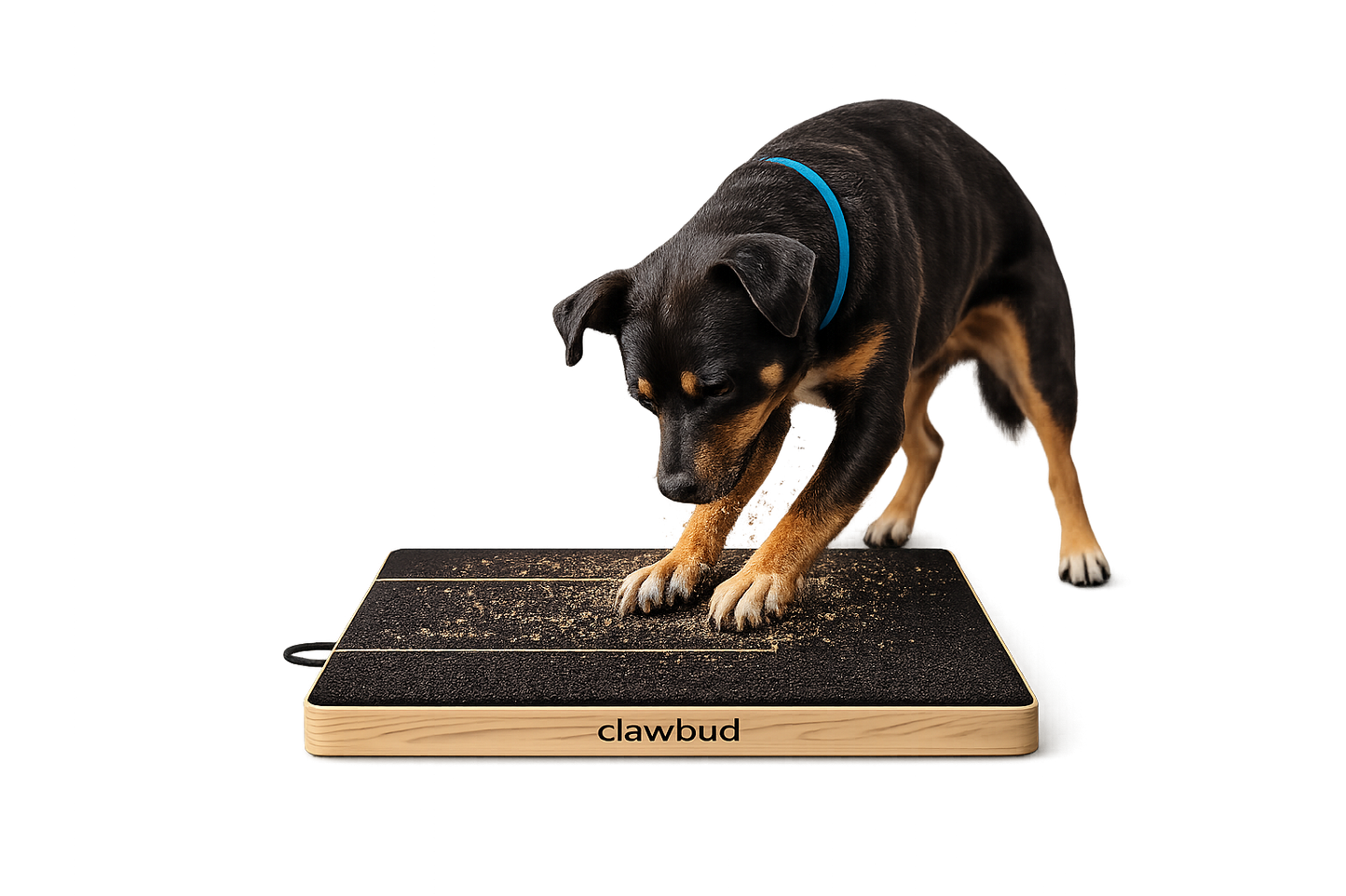 Claw Bud™ Scratch Board